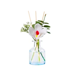 Online MINISO Floral Diffuser - Vaniglia (100Ml)